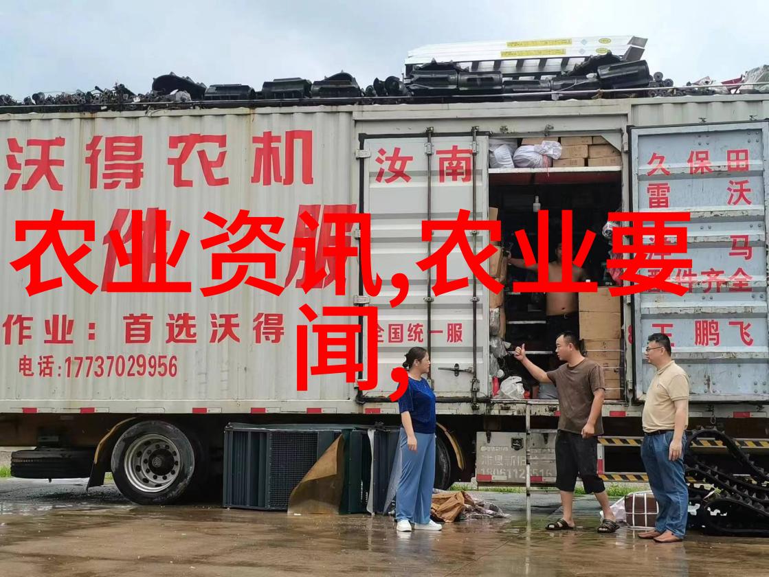 花开富贵种子播种的艺术与智慧