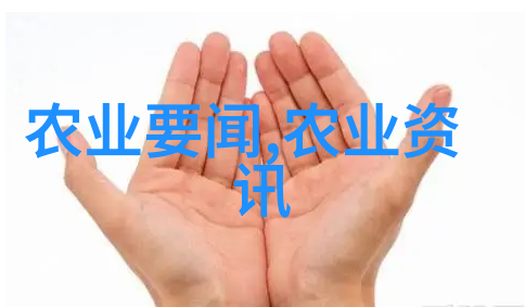 酥梨喜获丰收