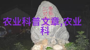 让孩子们参与进来儿童友好型简易羊舍设计分享