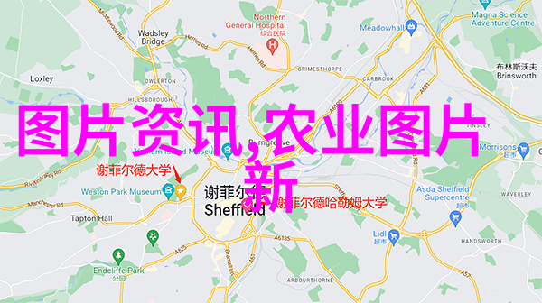 田间新动力人工手动插秧机的运作与效益