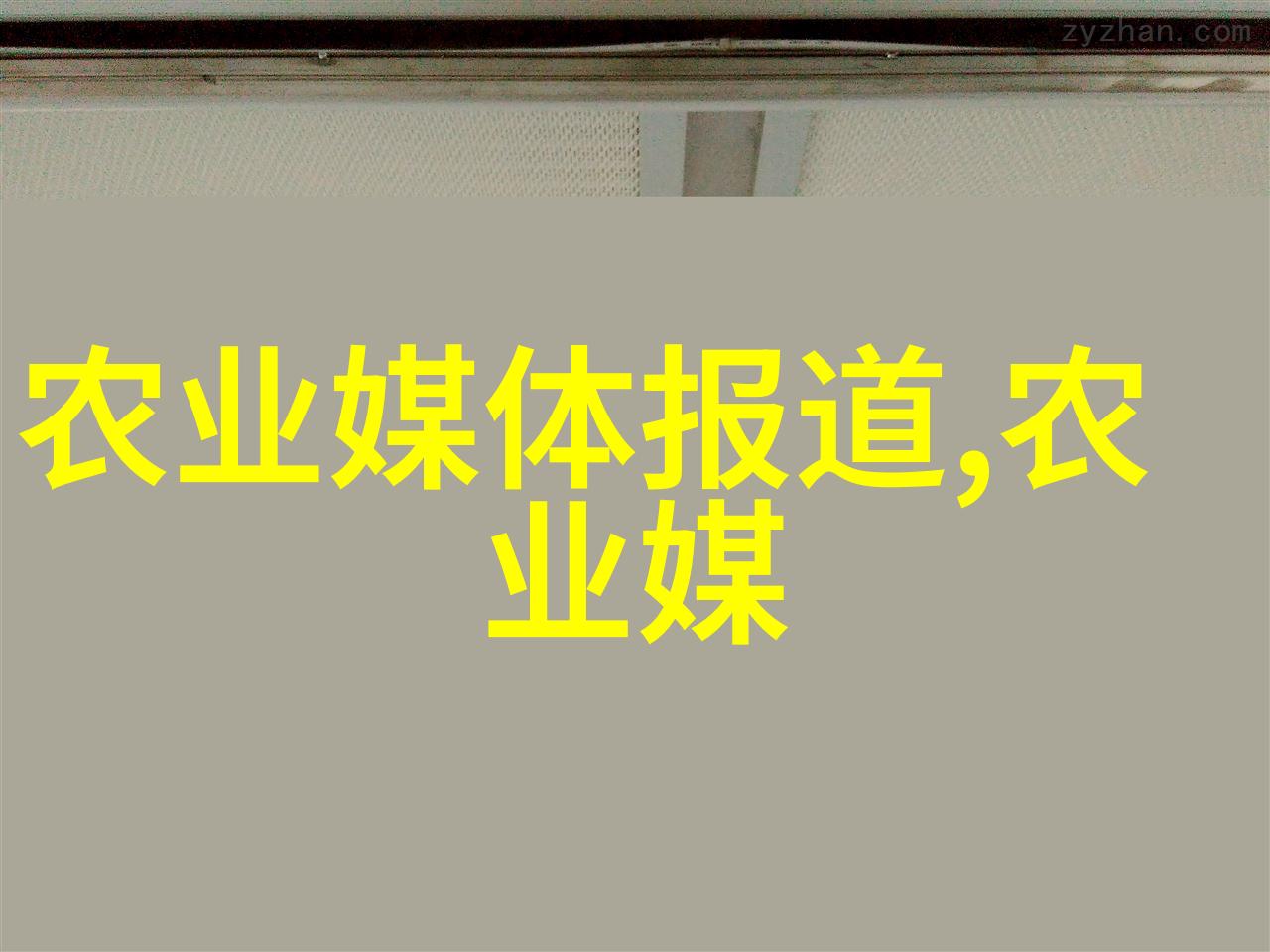 种大棚菜利润有多大-绿意盎然的金钱树探究大棚菜经营的利润空间