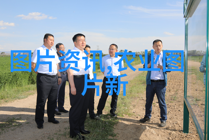 农业种植知识大全从土壤准备到收获技巧全解密
