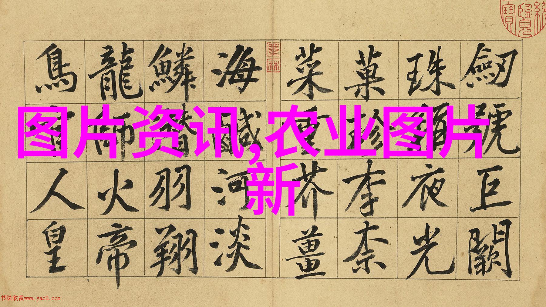 牛羊养殖培训心得体会提升牧场管理技能