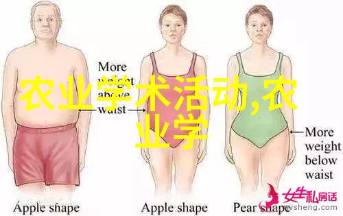 农机作业的全貌从播种到收割的精彩历程