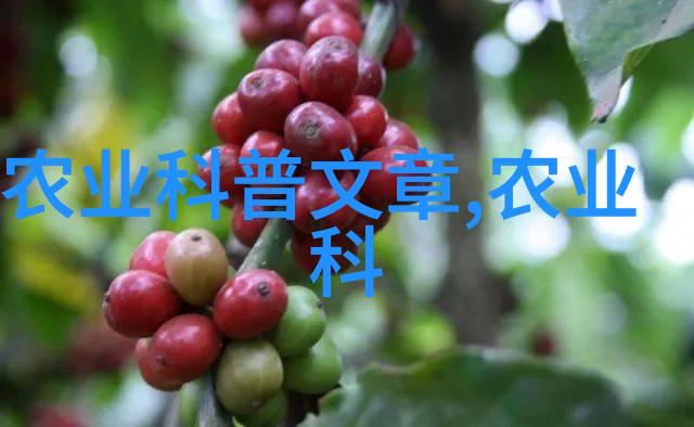 花园里的温馨小角落家庭盆栽的艺术与智慧