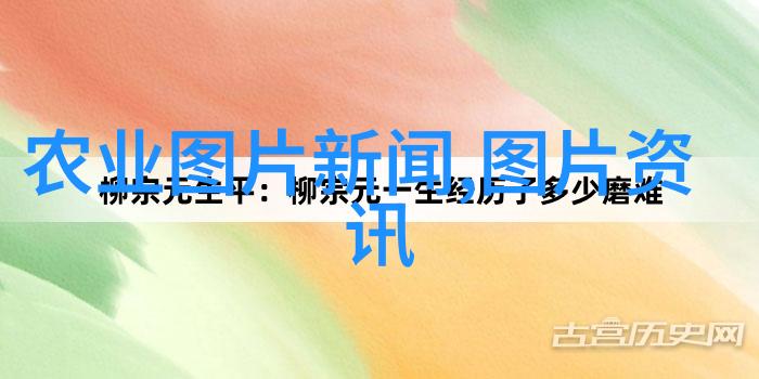 农业报道媒体怎么写_农业媒体报道_农业媒体有哪些