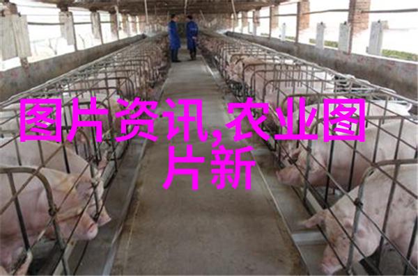 茶叶方面知识我来聊聊这壶好茶的秘密