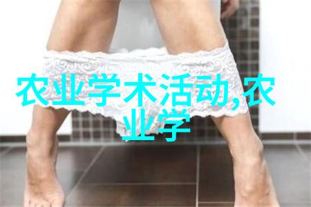 独视角穿越WWW虚拟世界的动漫探秘