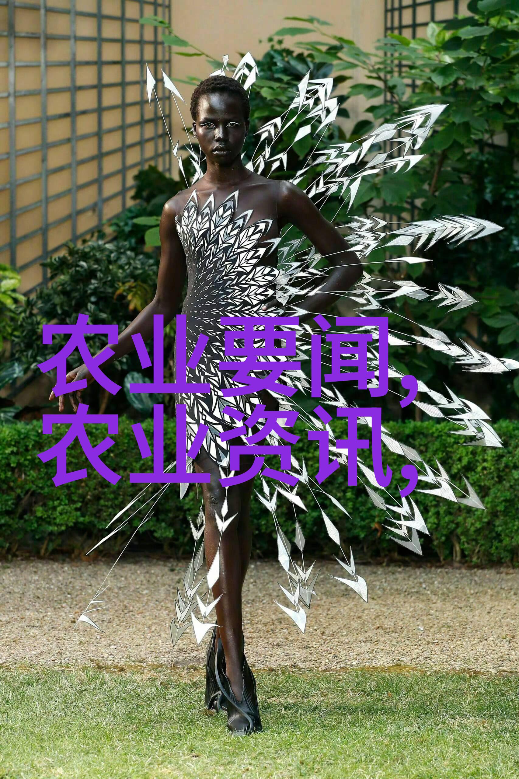 2023年养殖新政策-畜牧业革新2023年养殖新政策如何促进可持续发展