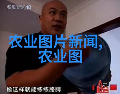 茶文化的概念我来谈谈一壶清茶颠覆生活