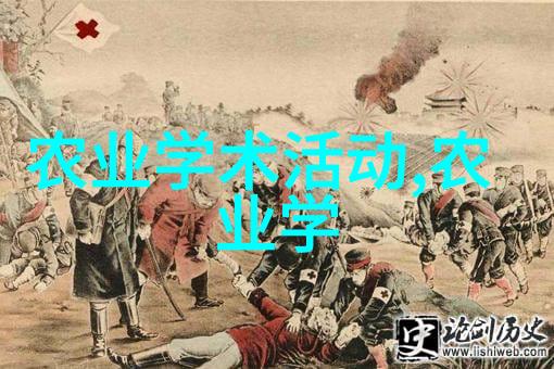 我喜欢几个人日一人我探索独特的社交圈与自我价值