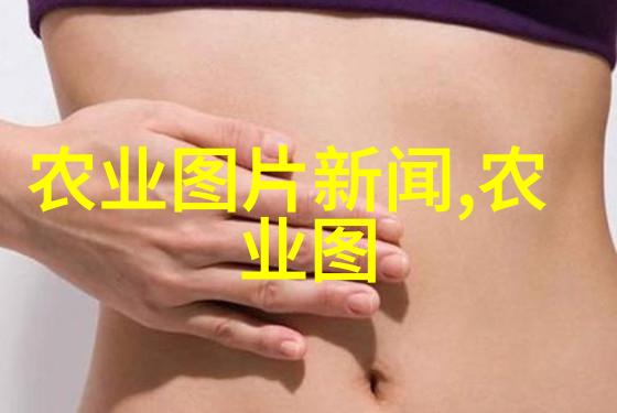 中药名录图谱探索传统智慧的百年长河