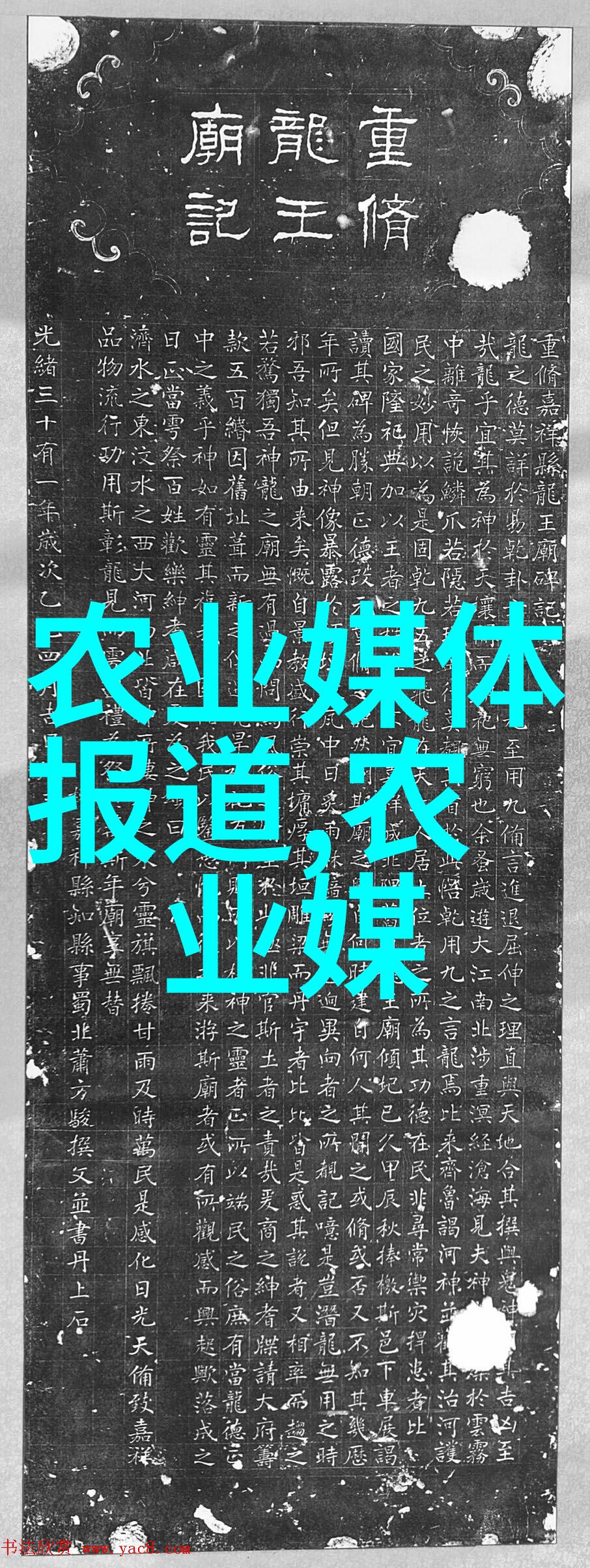 菌类文献 - 探索微生物世界解读菌类文献中的奥秘与应用