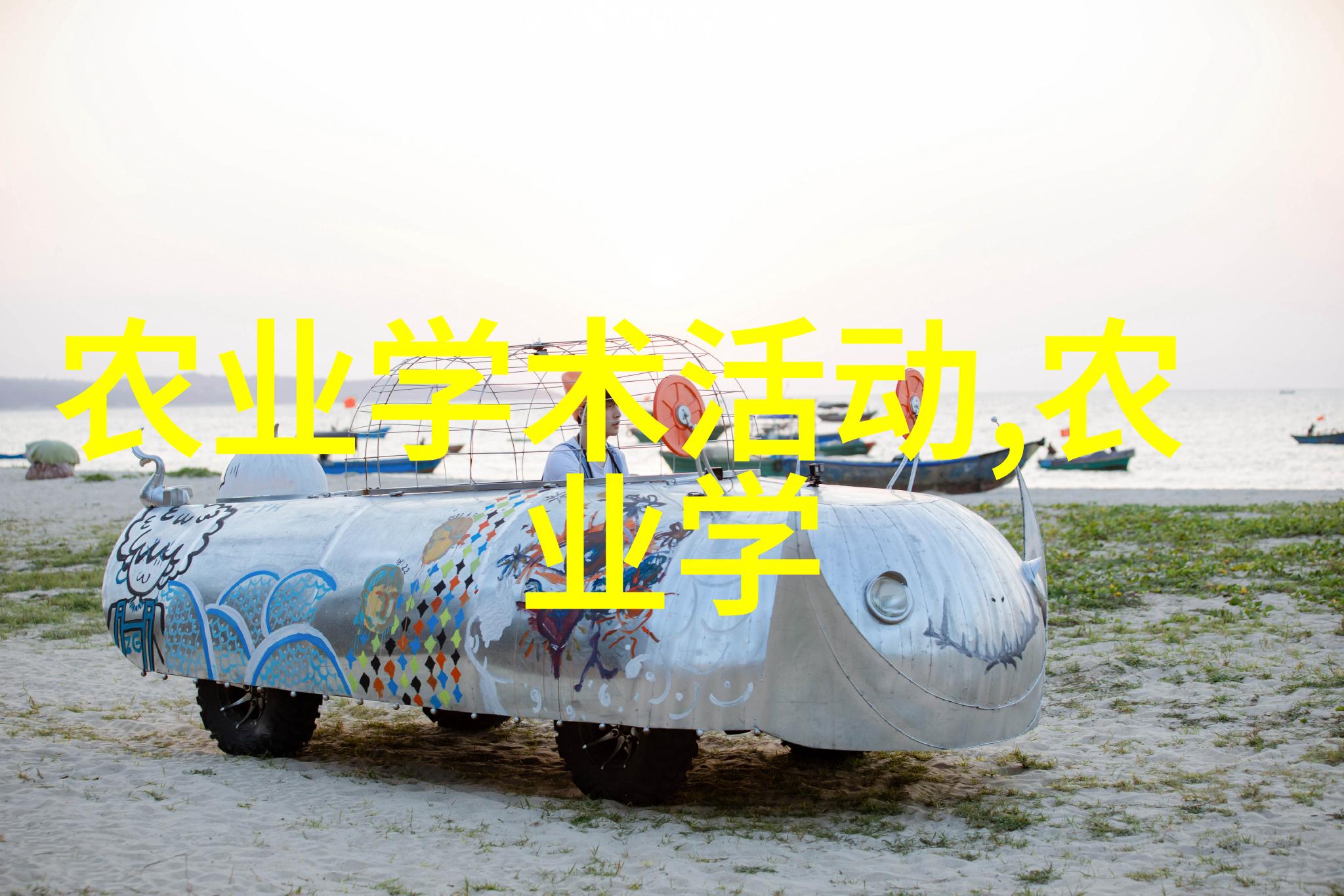 最容易种的盆栽水果我怎么就没想到养个水培西瓜呢