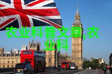 姬菇的奇幻冒险从森林深处到厨房大显身手