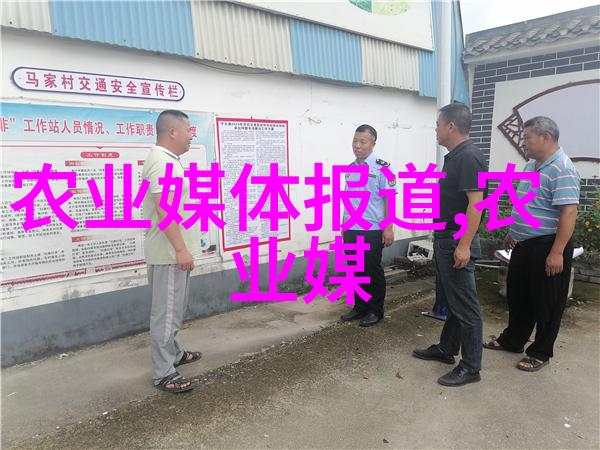 探秘花园中的多年生佳丽常见草本花卉介绍