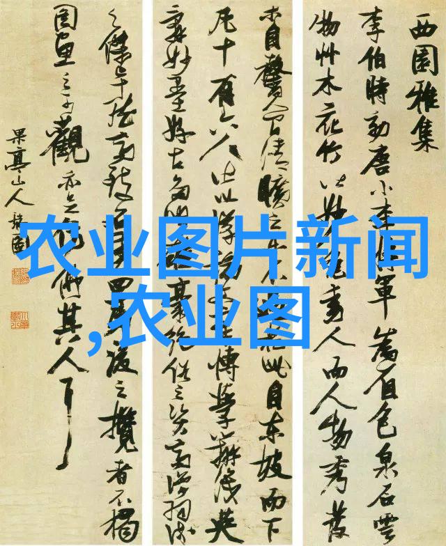 家庭阳台种菜盆温馨绿意生活的开始