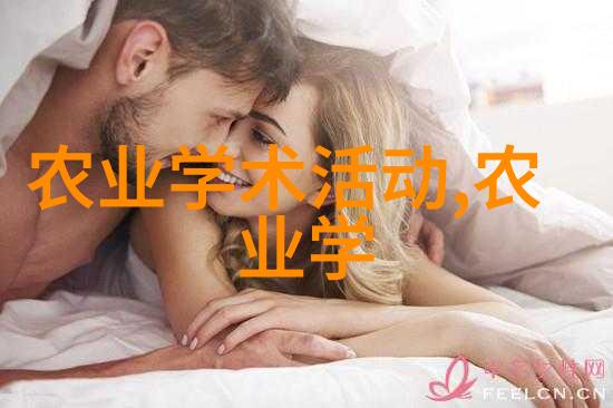 农机作业系统与技术概述从种植到收获的现代农业机械化实践