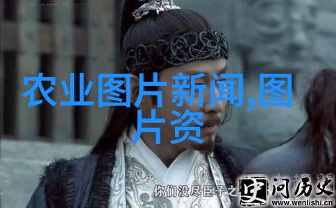 绿茵茵的园丁茶树品种与分类的秘密花园