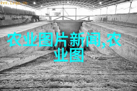 附近种植的新鲜果树苗出售为您的家庭增添绿色健康的选择