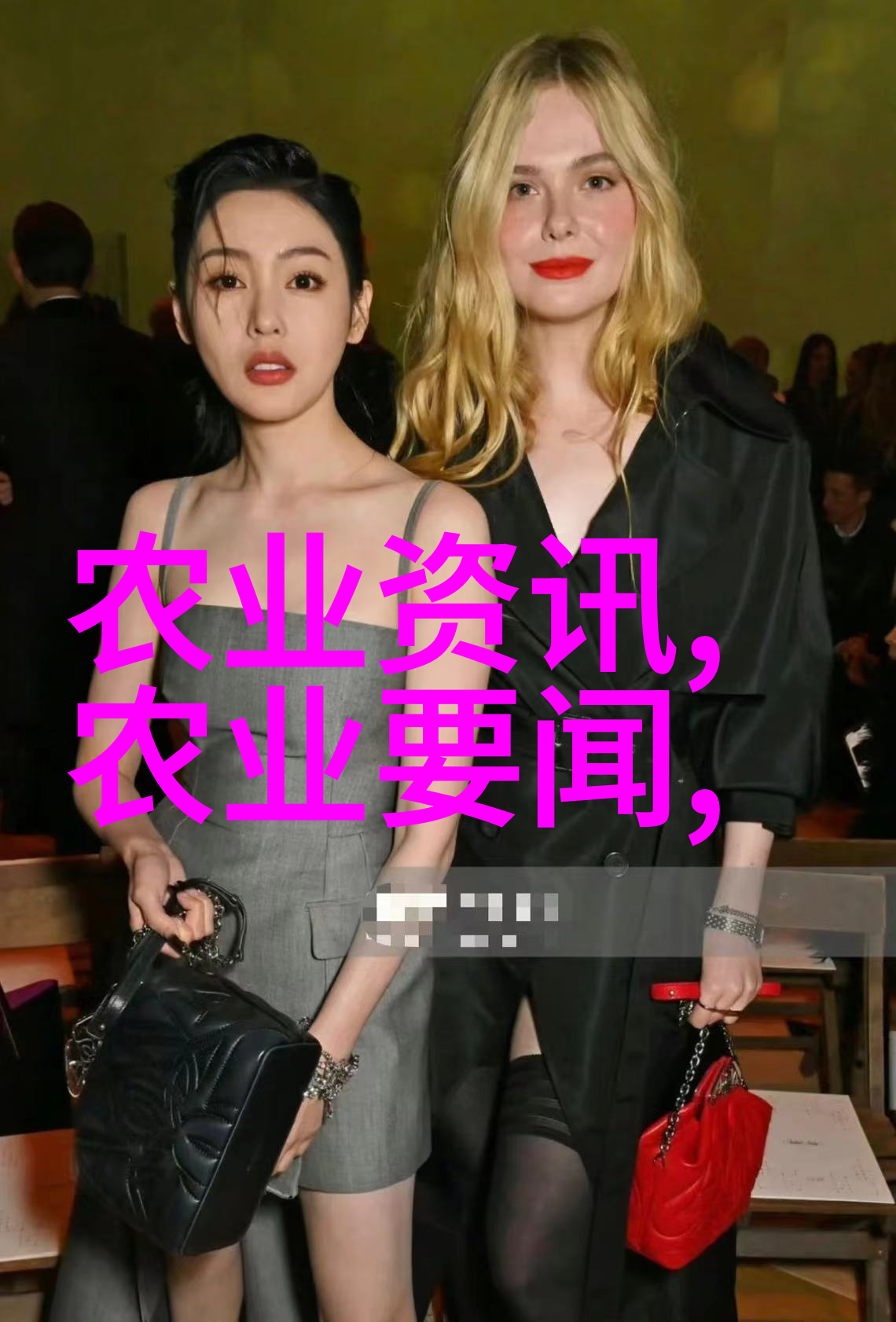 蜜蜂养殖全攻略从选址到收获的每一步