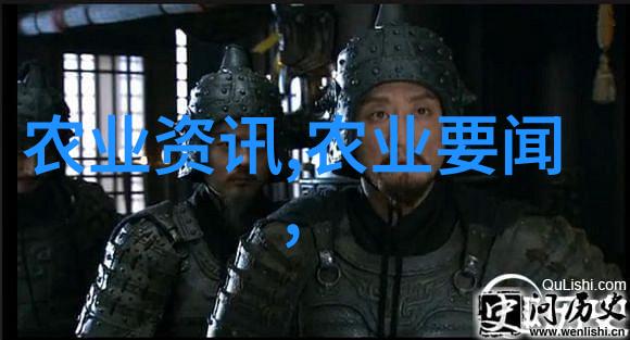 中国养猪网领航未来共筑畜牧新篇章