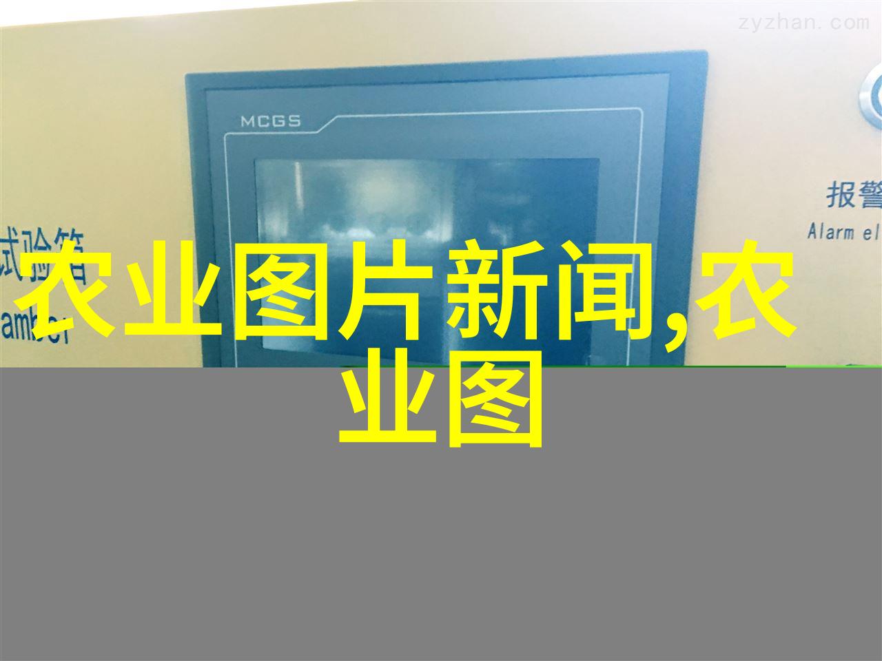 大棚种菜技术大全让你的菜园子也能变成小明星