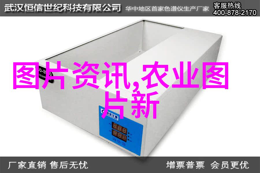 药材园地轻松栽培的草本佳肴