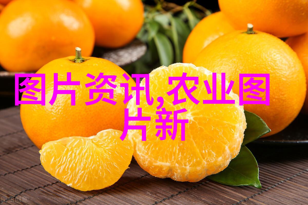 又大又长又租视频我的不懈追求