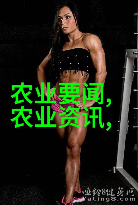 农机市场回暖二手拖拉机交易活跃