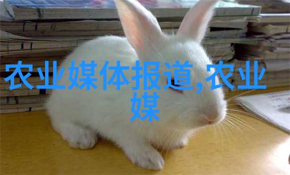 中国先进的农业科技推动绿色发展与食品安全新篇章
