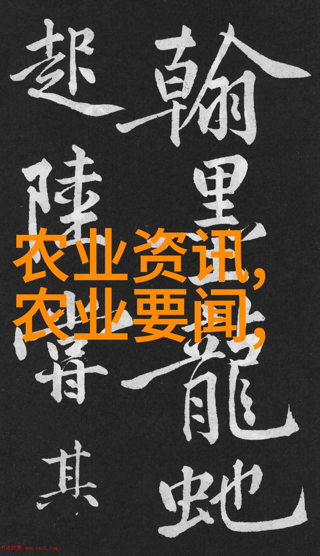 茶树叶片的特征细腻绿意柔嫩质地
