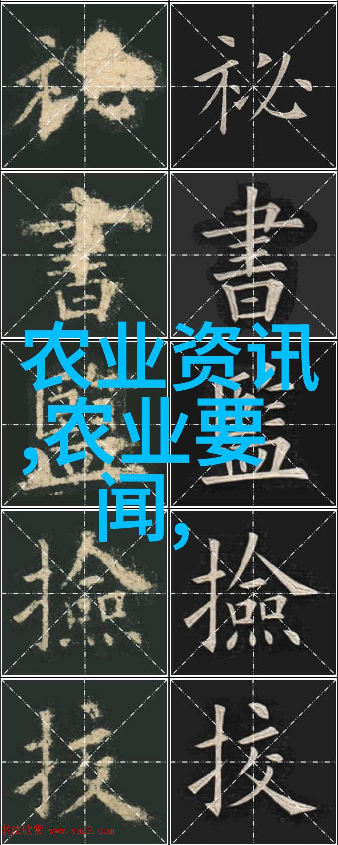 茶树的秘密何时开花为什么香