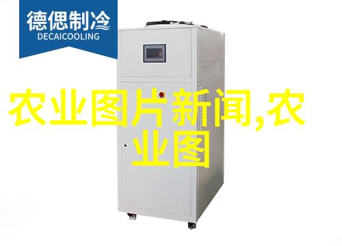 春日新绿苗木种植的艺术与实用