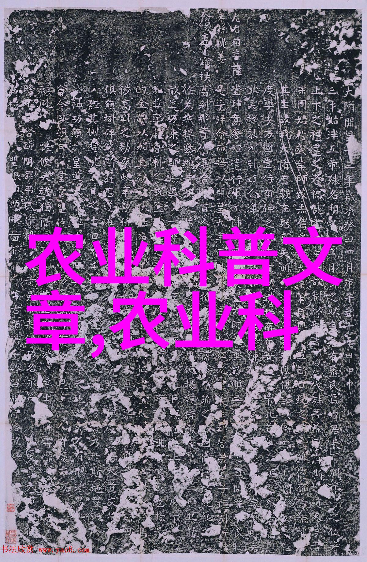 养殖业发展现状和分析 - 畜牧现代化深度探究养殖业的新趋势与挑战