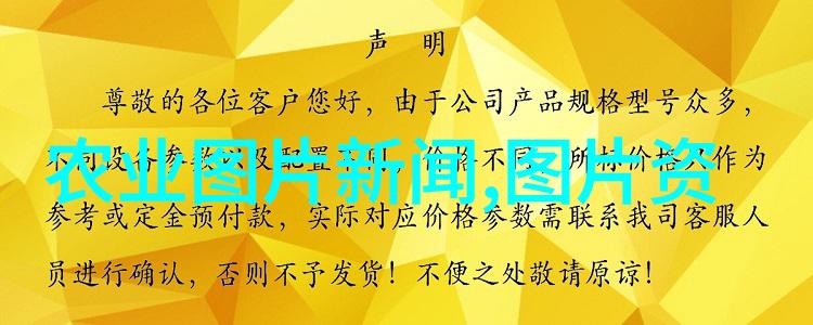 绿意盎然的智慧蔬菜种植全攻略