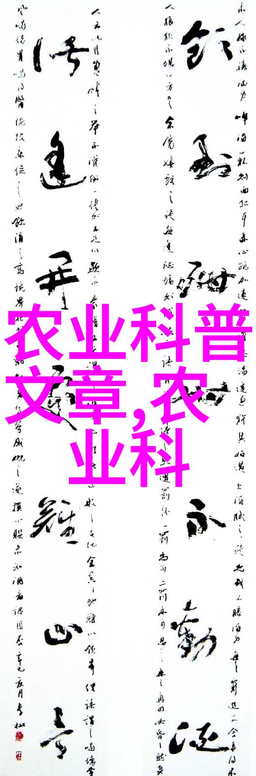工业巨轮与细腻珠宝皮带轮的双重面貌