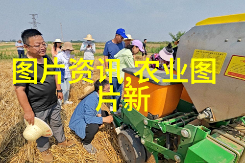 冬暖蔬菜秘密花园