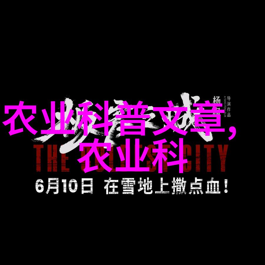 瑜伽之旅沈浩陈思思秦菲雪的艺术体验