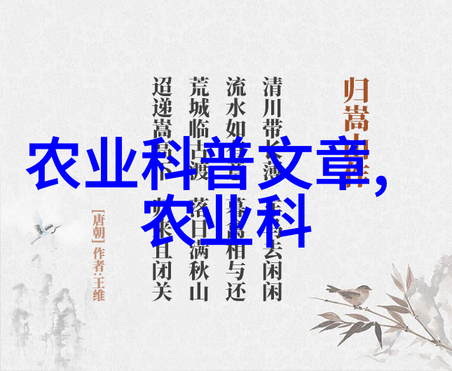 金钱树健康花详解提升家庭运势的十种优质植物