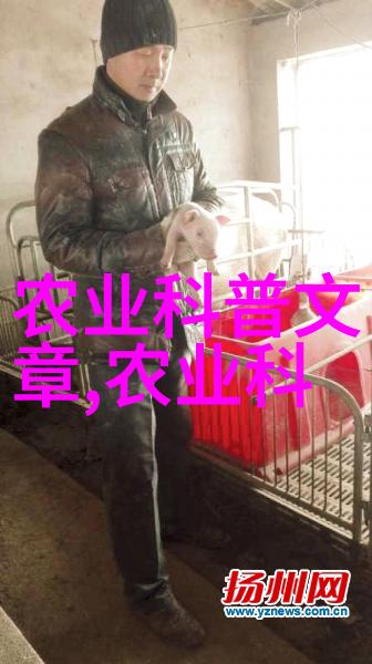 车厘子的香甜秘密从树上到盘中的一路探索