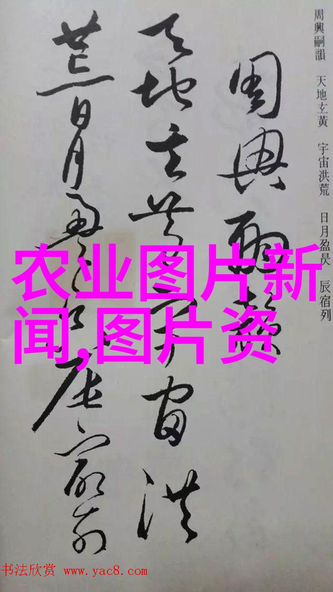 农民日报-征途农民日报70周年记录中国乡村的变迁与希望