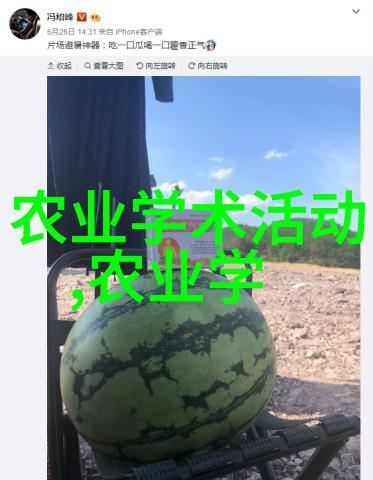 室内十大吉利花美化居所的最佳植物选择