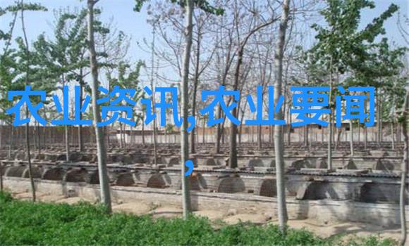 听说你要娶老子家族联谊与爱情的奇幻旅程