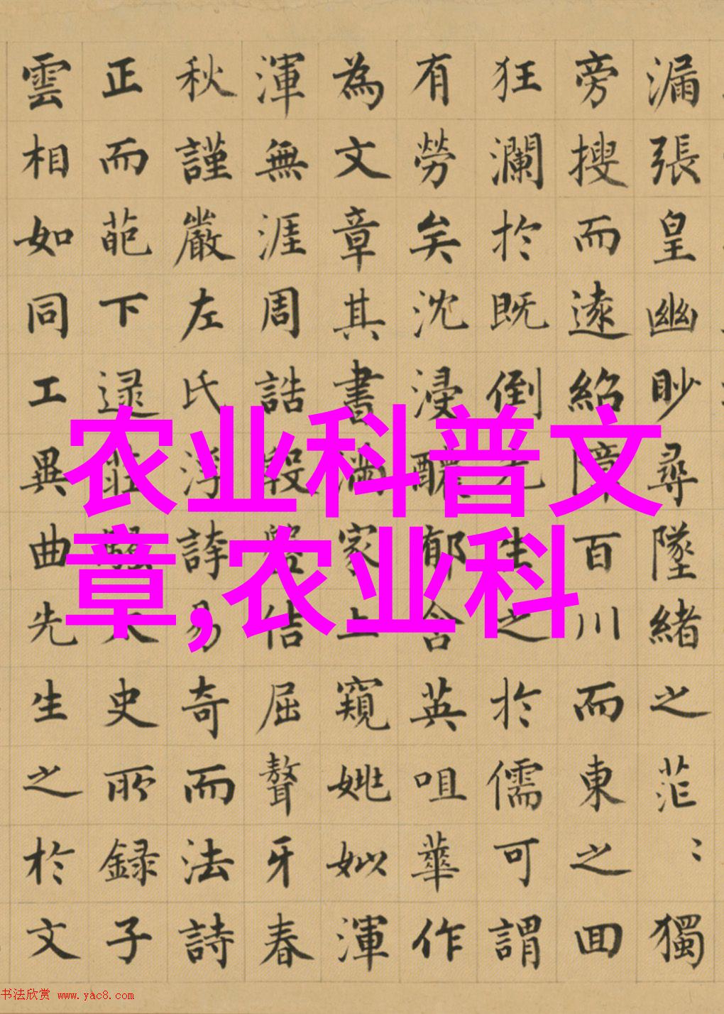 追求财富与效率最赚钱的快速种植项目