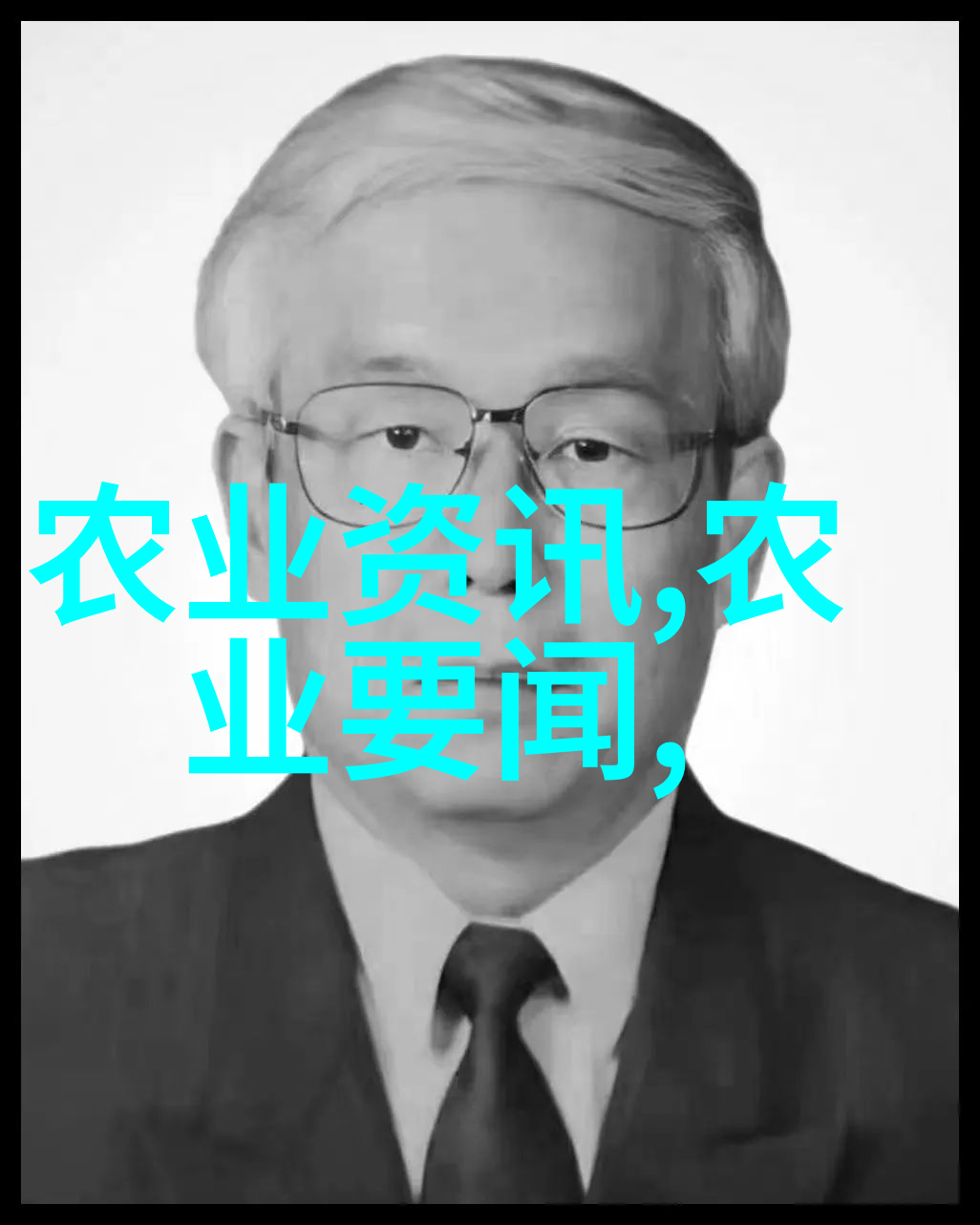 好茶有什么特征品一杯好茶感受它的独特魅力