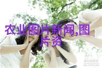 农药肥料高效农业用品
