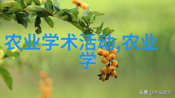 茶叶科普 - 品鉴之旅揭秘茶叶的文化与品种