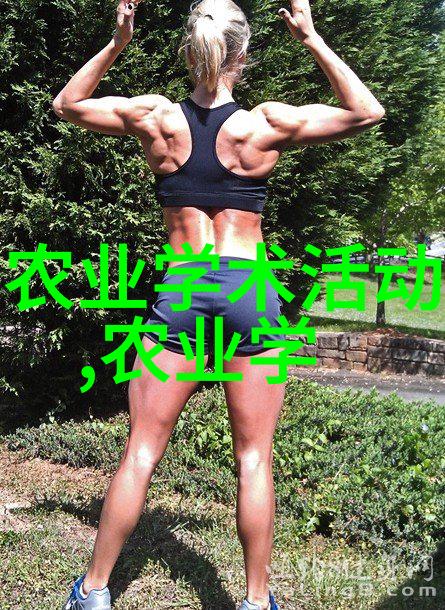 微观奇迹机械之心