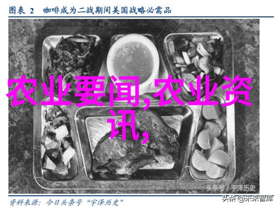 甜醋鱼与命运的坠落一个关于爱情与自我发现的小说